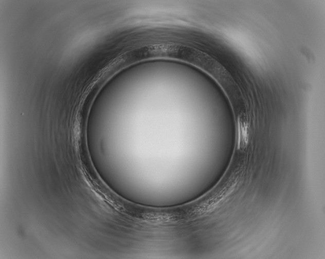 X0000111890435200907231559