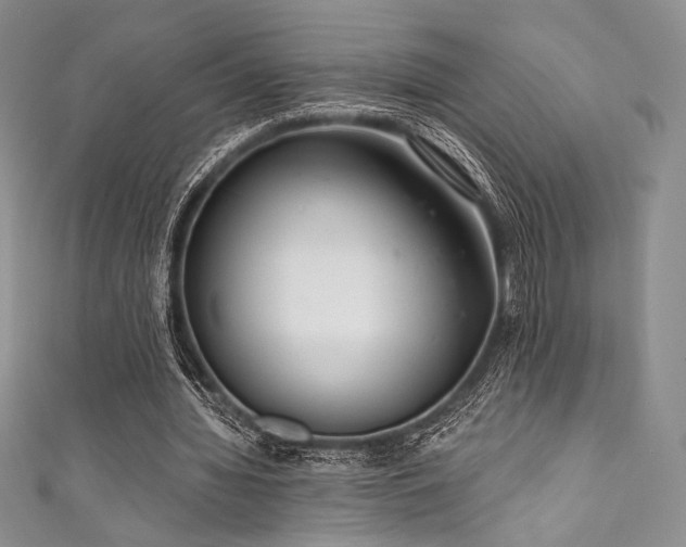 X0000111890436200907231559