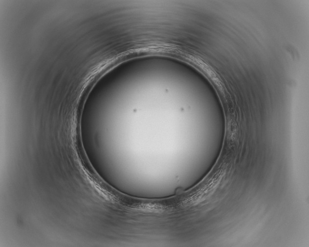 X0000111890437200907231559