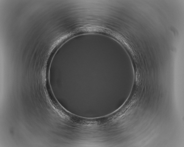 X0000111890438200907231559