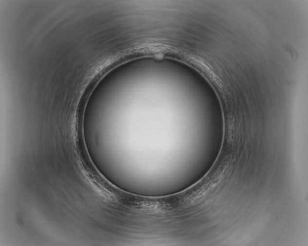 X0000111890439200907231559
