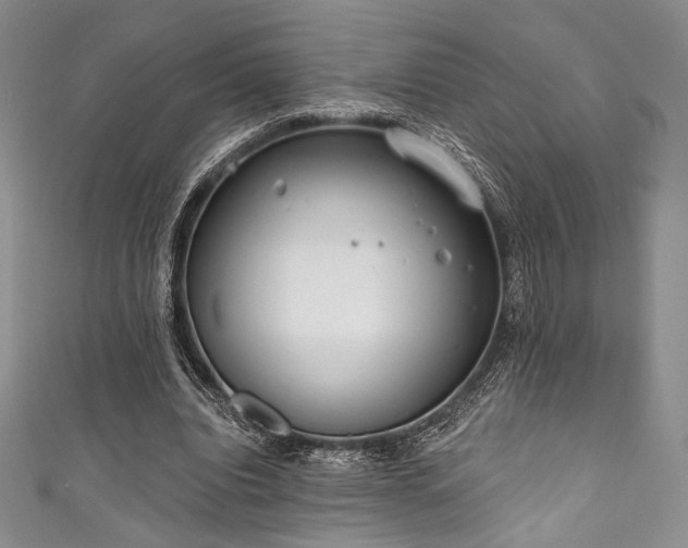 X0000111890440200907231559