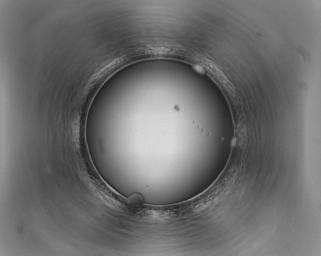 X0000111890442200907231559