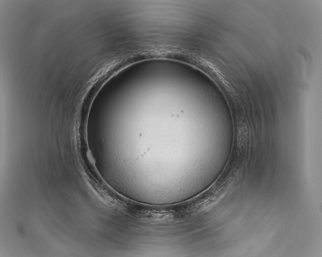 X0000111890443200907231600