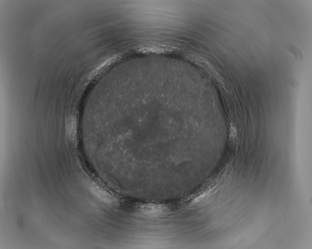 X0000111890444200907231600