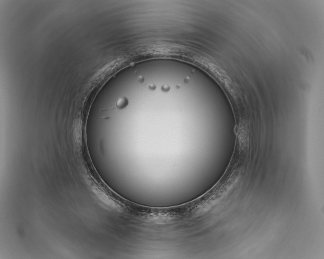 X0000111890445200907231600