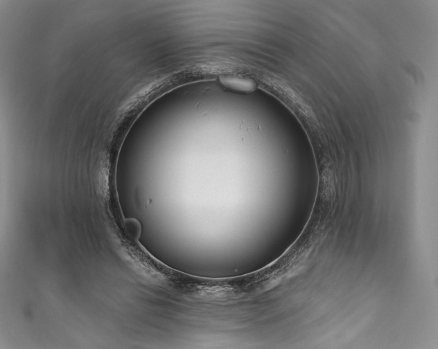 X0000111890446200907231600