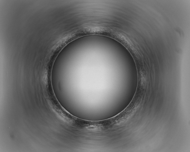 X0000111890447200907231600