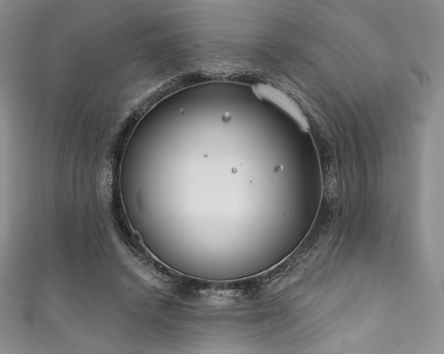 X0000111890448200907231600