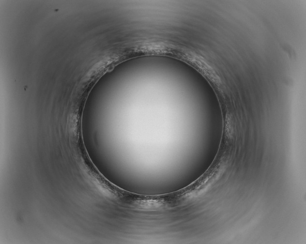 X0000111890449200907231600