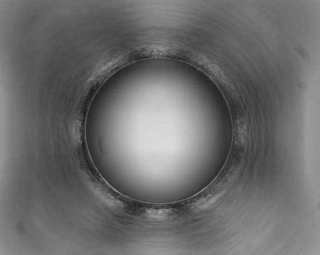 X0000111890450200907231600