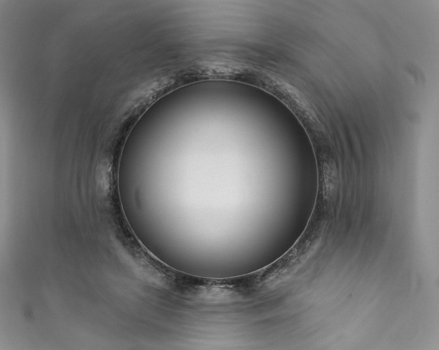 X0000111890451200907231600