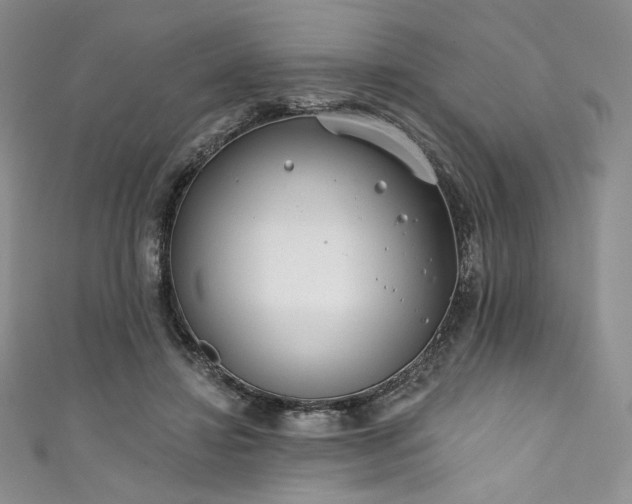 X0000111890452200907231600