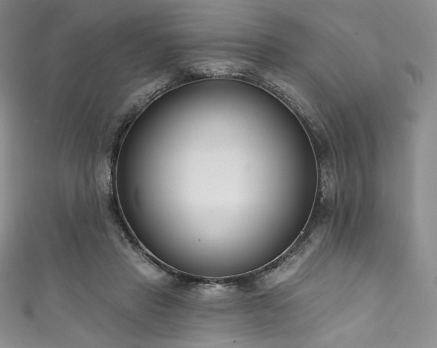 X0000111890453200907231600