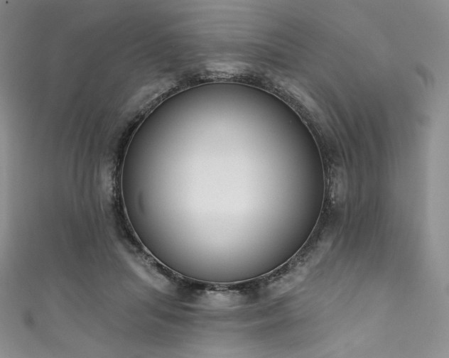 X0000111890455200907231600