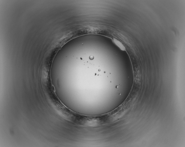 X0000111890456200907231600