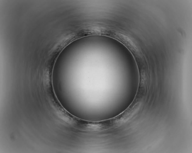 X0000111890457200907231600