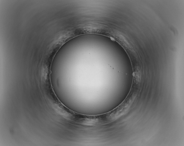 X0000111890458200907231600