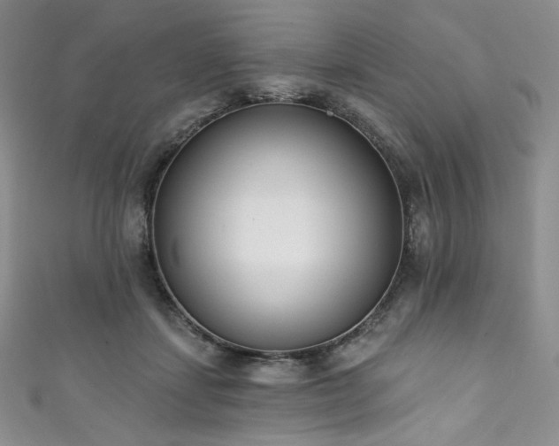 X0000111890459200907231600