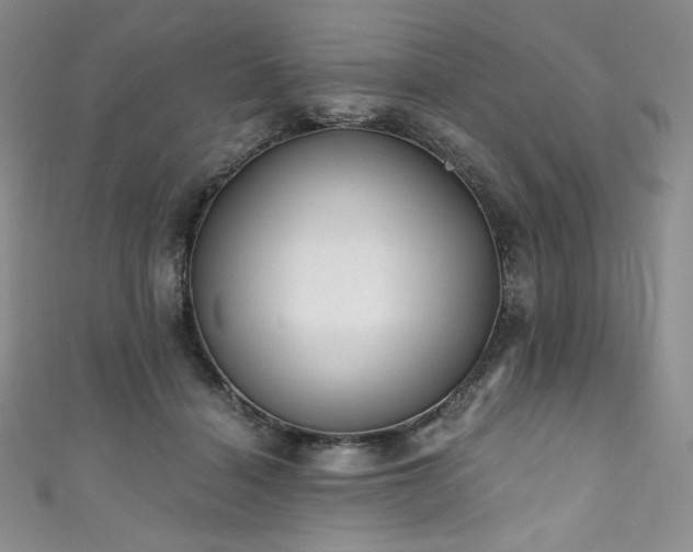 X0000111890460200907231600