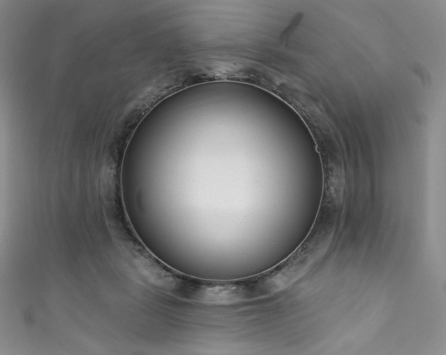 X0000111890461200907231600