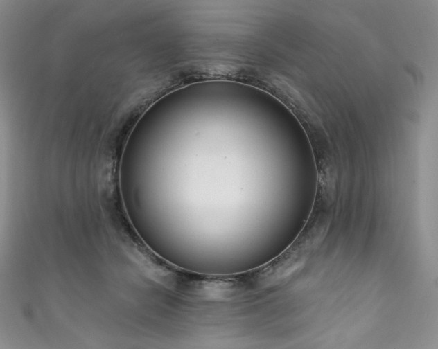 X0000111890462200907231600