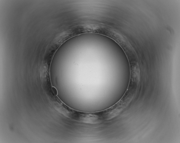 X0000111890463200907231600