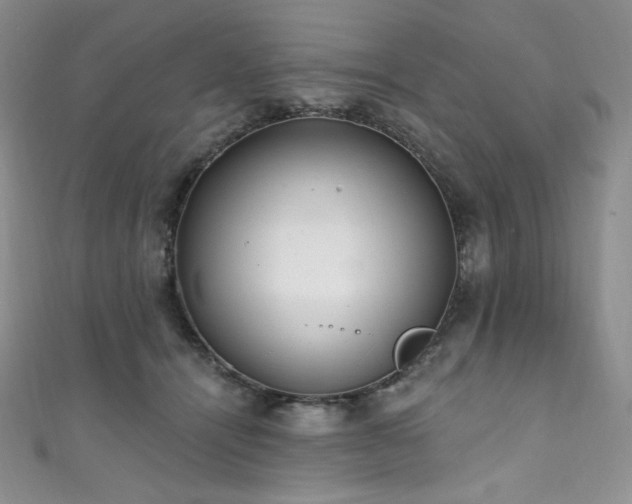 X0000111890464200907231600