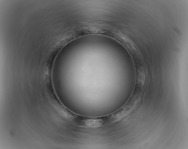 X0000111890465200907231600