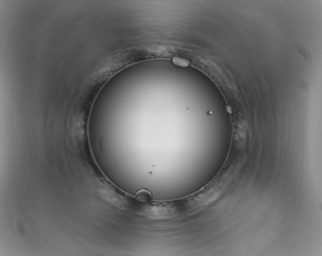 X0000111890466200907231600