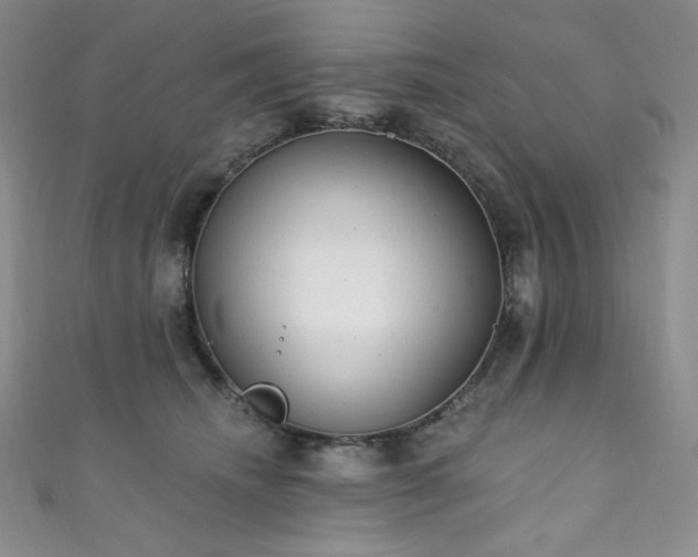 X0000111890468200907231600