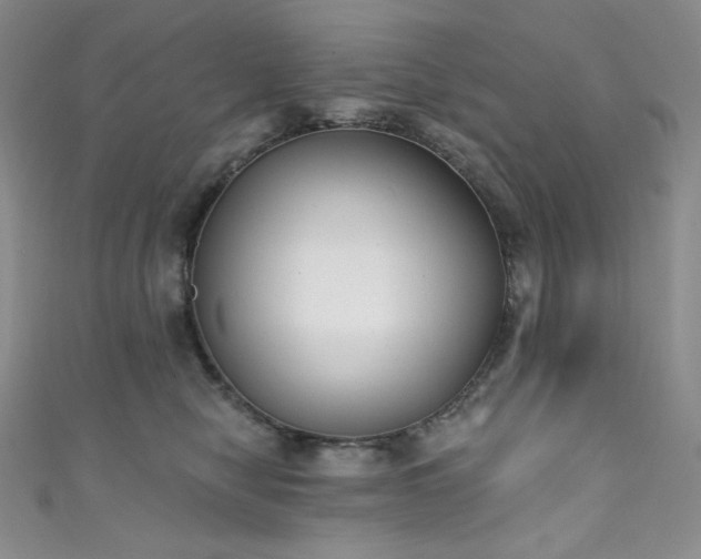 X0000111890470200907231600