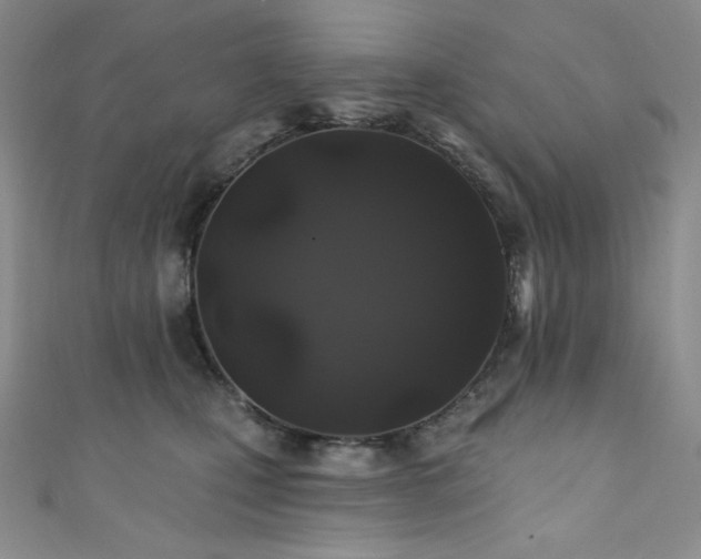 X0000111890471200907231600