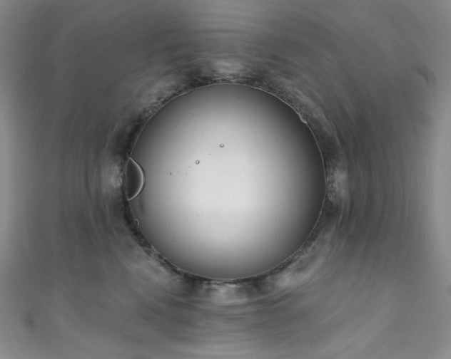 X0000111890472200907231600