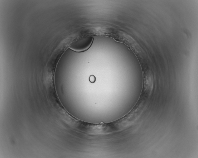 X0000111890473200907231600