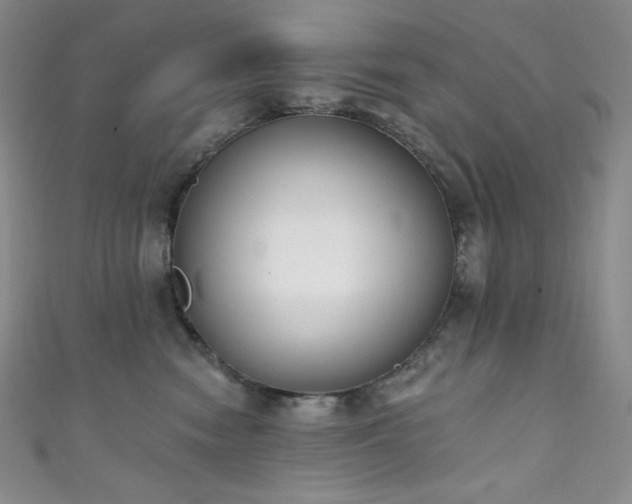 X0000111890474200907231600