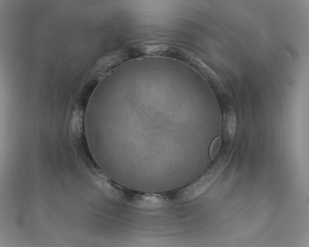 X0000111890475200907231600