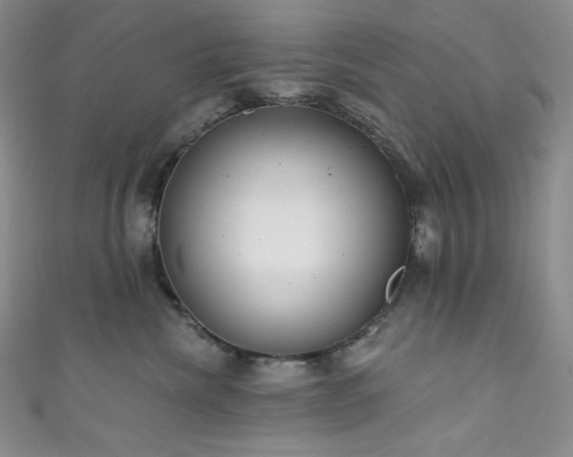 X0000111890476200907231600