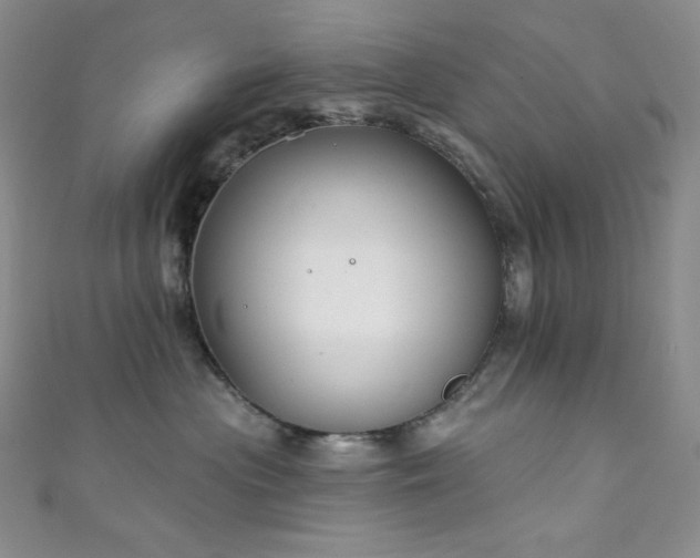 X0000111890477200907231600