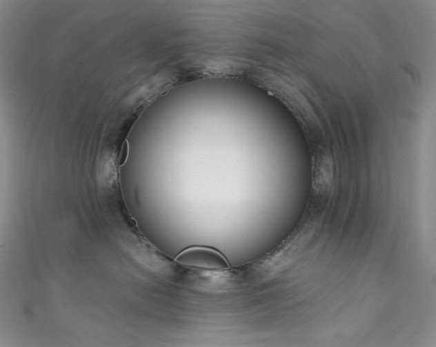 X0000111890478200907231600