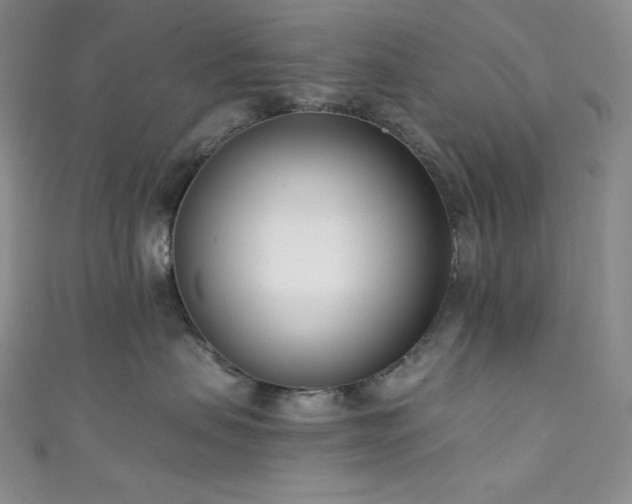 X0000111890479200907231600