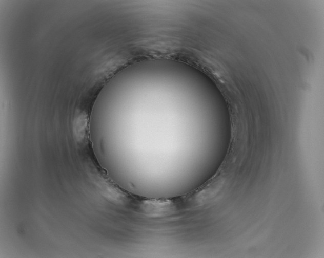 X0000111890480200907231600