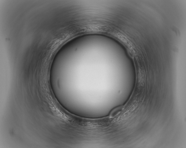 X0000111890481200907231559