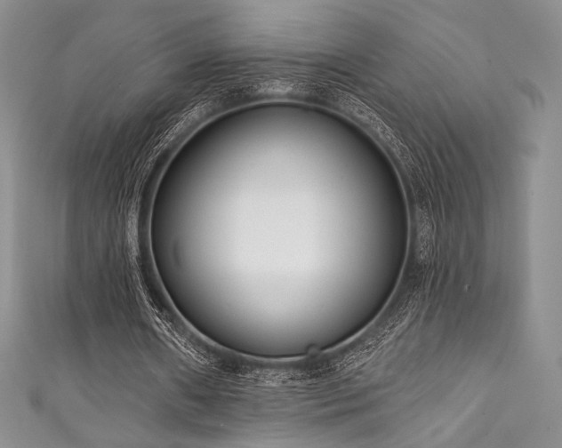X0000111890482200907231559