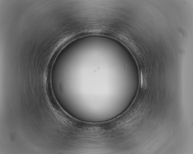 X0000111890483200907231559
