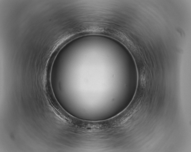 X0000111890484200907231559