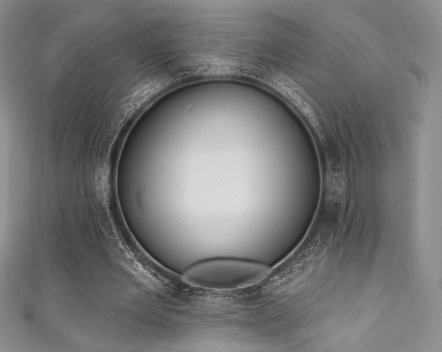 X0000111890485200907231559