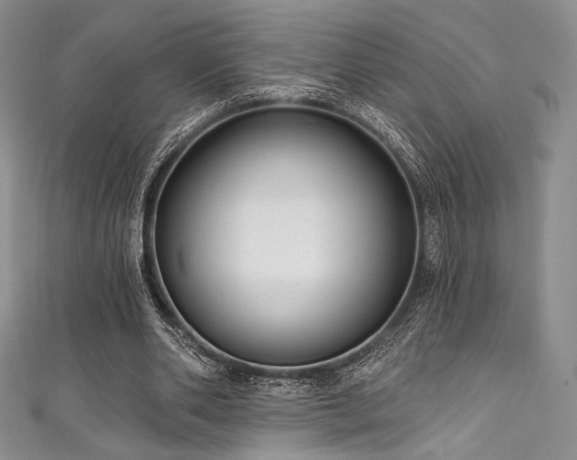 X0000111890486200907231559