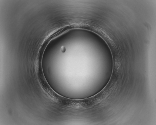 X0000111890488200907231559