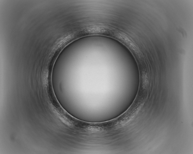 X0000111890490200907231559
